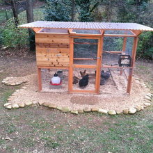 Chicken coop