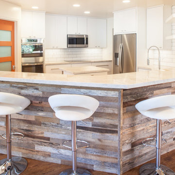Mid-Entry Modern Kitchen