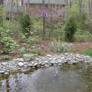 Lush Front Yard