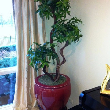 Custom Silk Trees