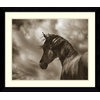 Framed Art Print 'The Renegade Horse' by Barry Hart, Outer Size 33"x28"
