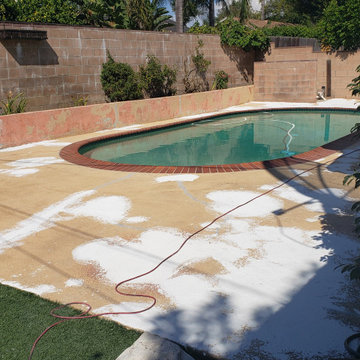 Backyard clean up and remodel