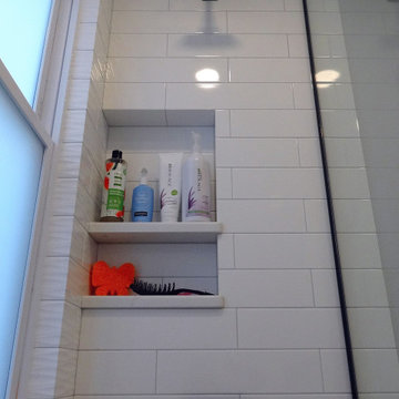 Greendale Residence - Master and Main Bath Remodel