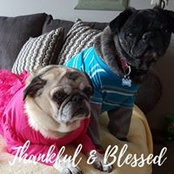 Tammy Lynn's photo