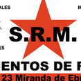 Foto de perfil de S.R.M Pavimentos De Resinas
