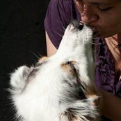 Tonia VanMoorhem's photo
