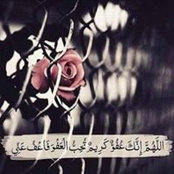 Doha Ahmed's photo