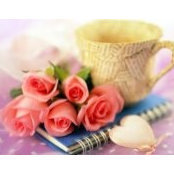 Karen Kirk's photo