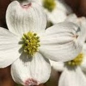 Nela Long's photo
