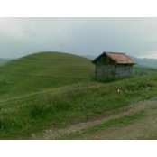 Andreea Daradici's photo