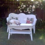 Barbara Crane's photo