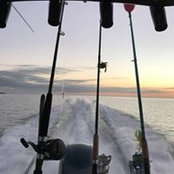Constantinos Bangos's photo