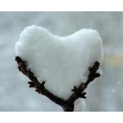 Karyn Ness's photo