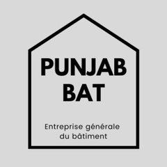 Punjab bat