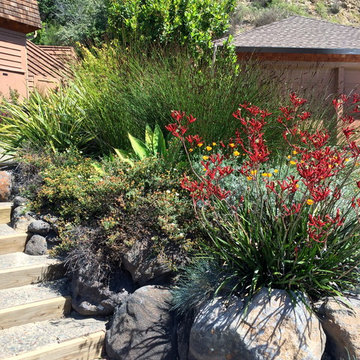 San Rafael Hillside renovation
