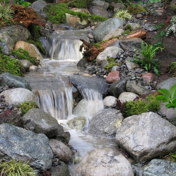 Water Features