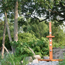 Back Garden