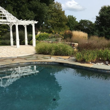 Pool Landscape
