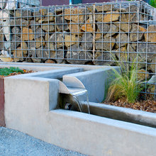 Landscape Ideas