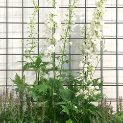 Steel Troughs &  Rectangular Planters with Trellis - Products