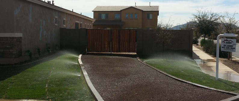 Lobo Landscape Tree Queen Creek AZ US 85142 Houzz ES