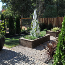 Vegetable Garden