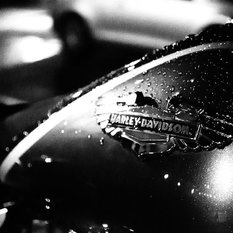 Pi Photography and Fine Art - "Harley in the Rain" Black and White Photography, Wall Art Print 20"x30" - Prints and Posters