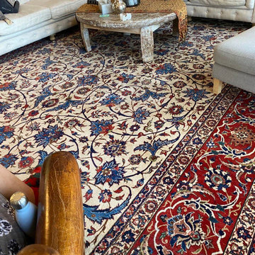 Dr. Zia's House
