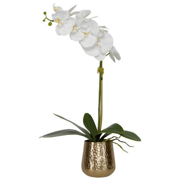 Uttermost Cami Orchid With Brass Pot, 60189