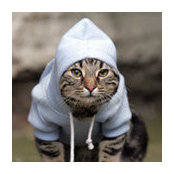 David Yang's photo