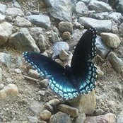 Heather Boyers foto