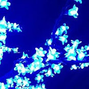 Christine Jablonski's photo