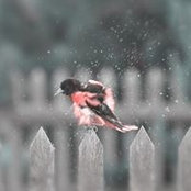 Kim Cetrone's photo