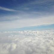 T.j. Trecker's photo