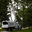 Sauers Tree & Landscape Service, Inc.