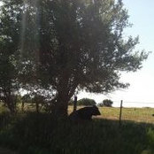 Mitzi Gose's photo