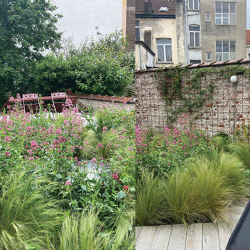 Toiture terrasse de 40m2 à Saint Gilles / Prairie fleurie