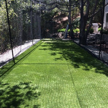 Baseball Batting Cage and Net