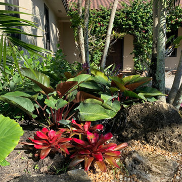 Tropical appeal for equestrian farm entrance