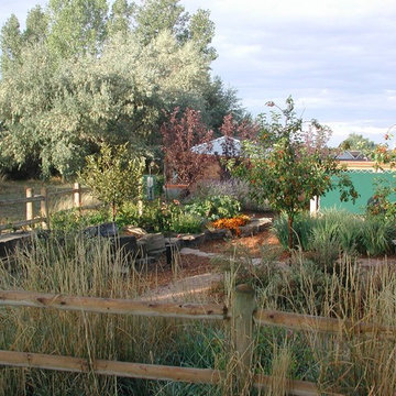 Wildlife Habitat Project - Greeley, Colorado