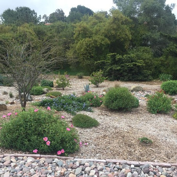 Watershed Approach Project