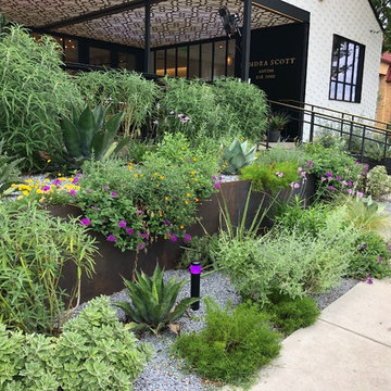 South Congress