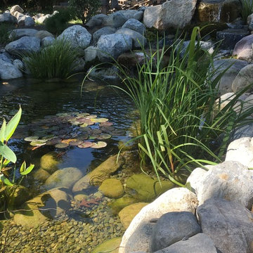 11x16 Ecosytem Wildlife Pond
