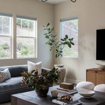 Traditional + Moody Furniture Project