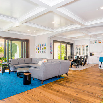 Colorful Transitional
