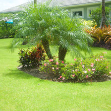 yard