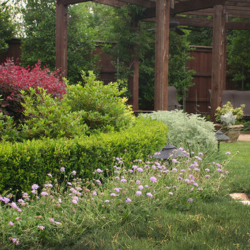 Beautiful Blooming Borders