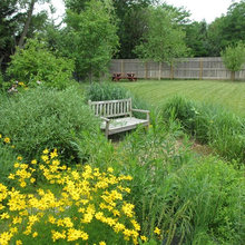 Garden and Yard