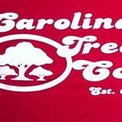 Foto de Carolina Tree
