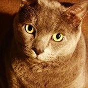 Heather McKee's photo